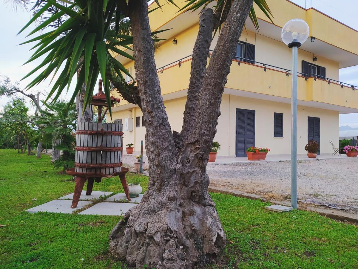 Casa Vacanze Paradise Santa Maria La Carità Eksteriør billede
