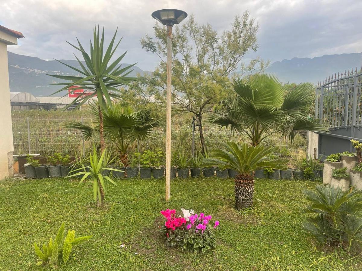 Casa Vacanze Paradise Santa Maria La Carità Eksteriør billede