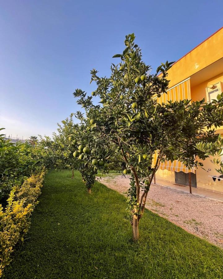 Casa Vacanze Paradise Santa Maria La Carità Eksteriør billede