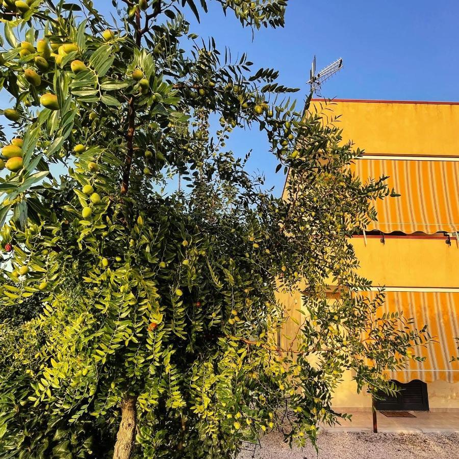 Casa Vacanze Paradise Santa Maria La Carità Eksteriør billede
