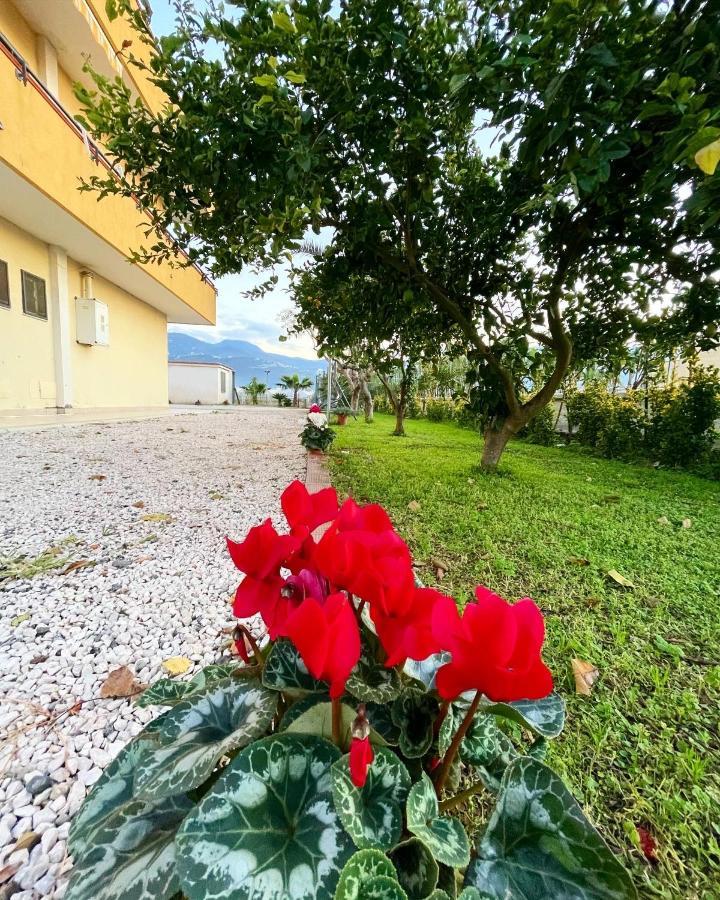 Casa Vacanze Paradise Santa Maria La Carità Eksteriør billede