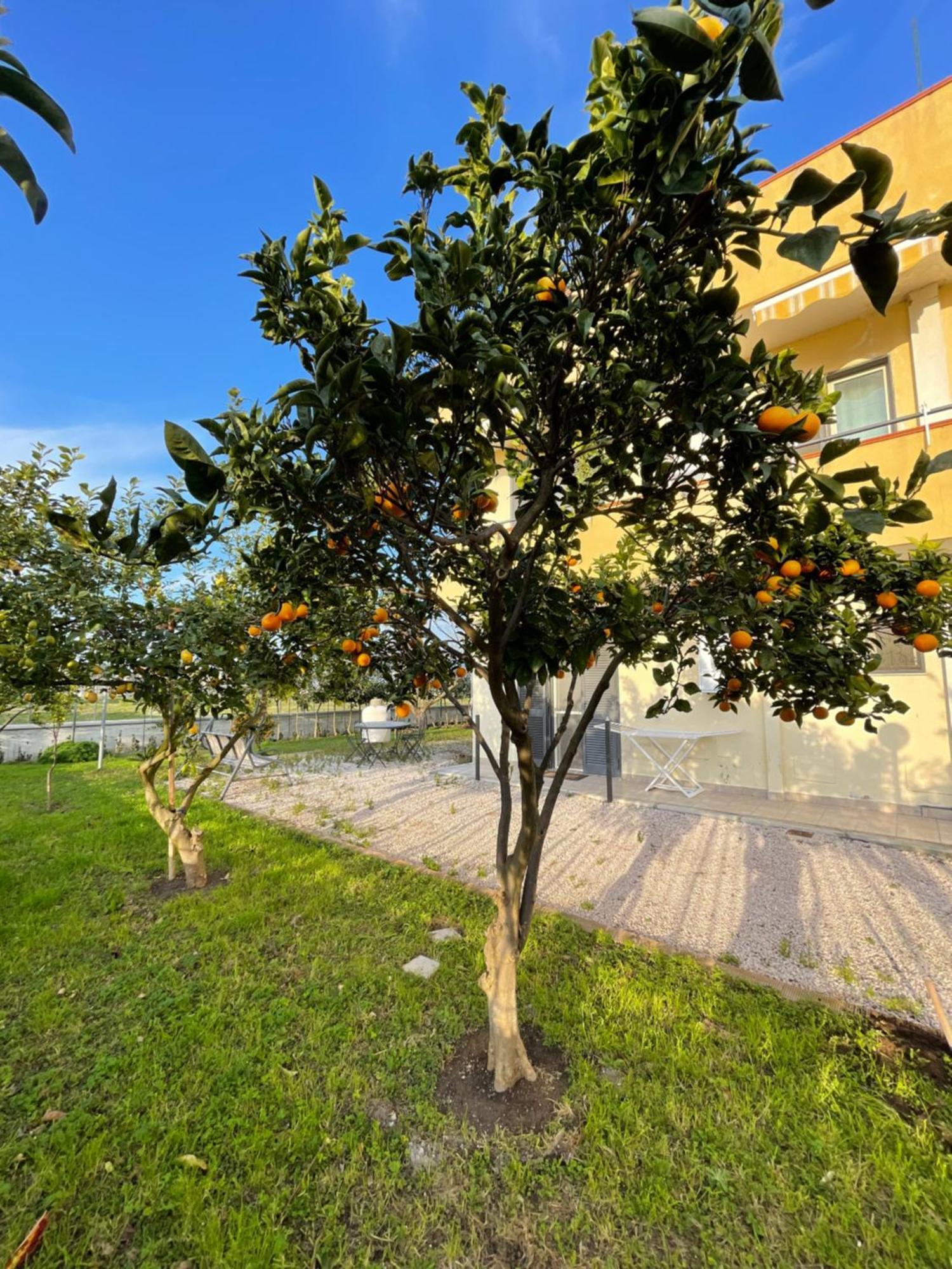 Casa Vacanze Paradise Santa Maria La Carità Eksteriør billede
