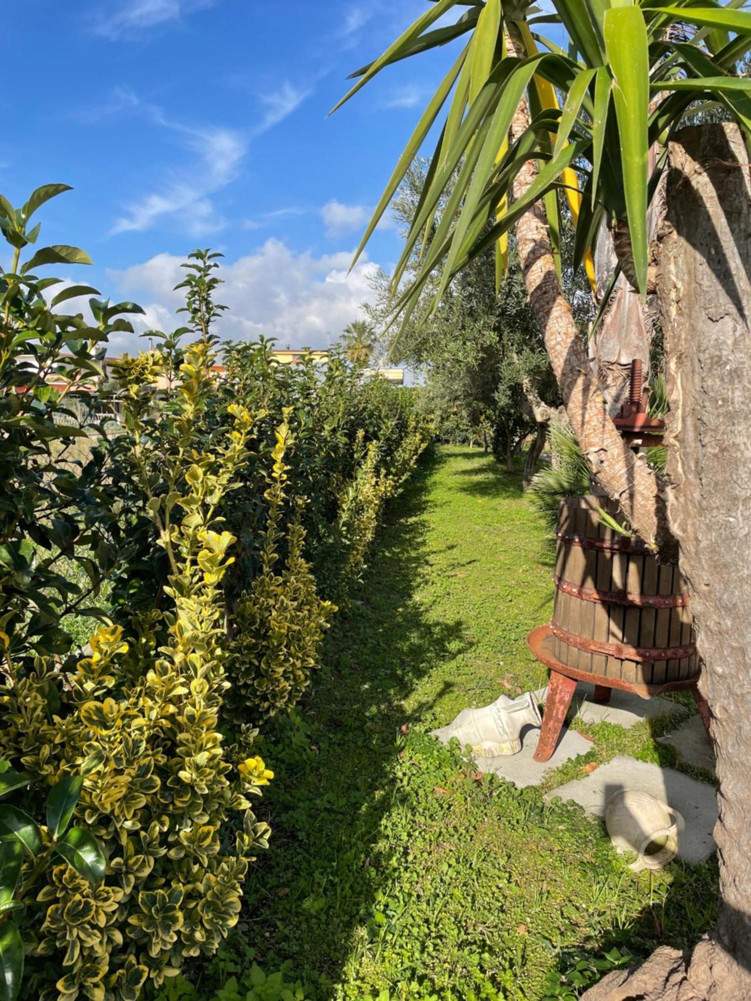 Casa Vacanze Paradise Santa Maria La Carità Eksteriør billede