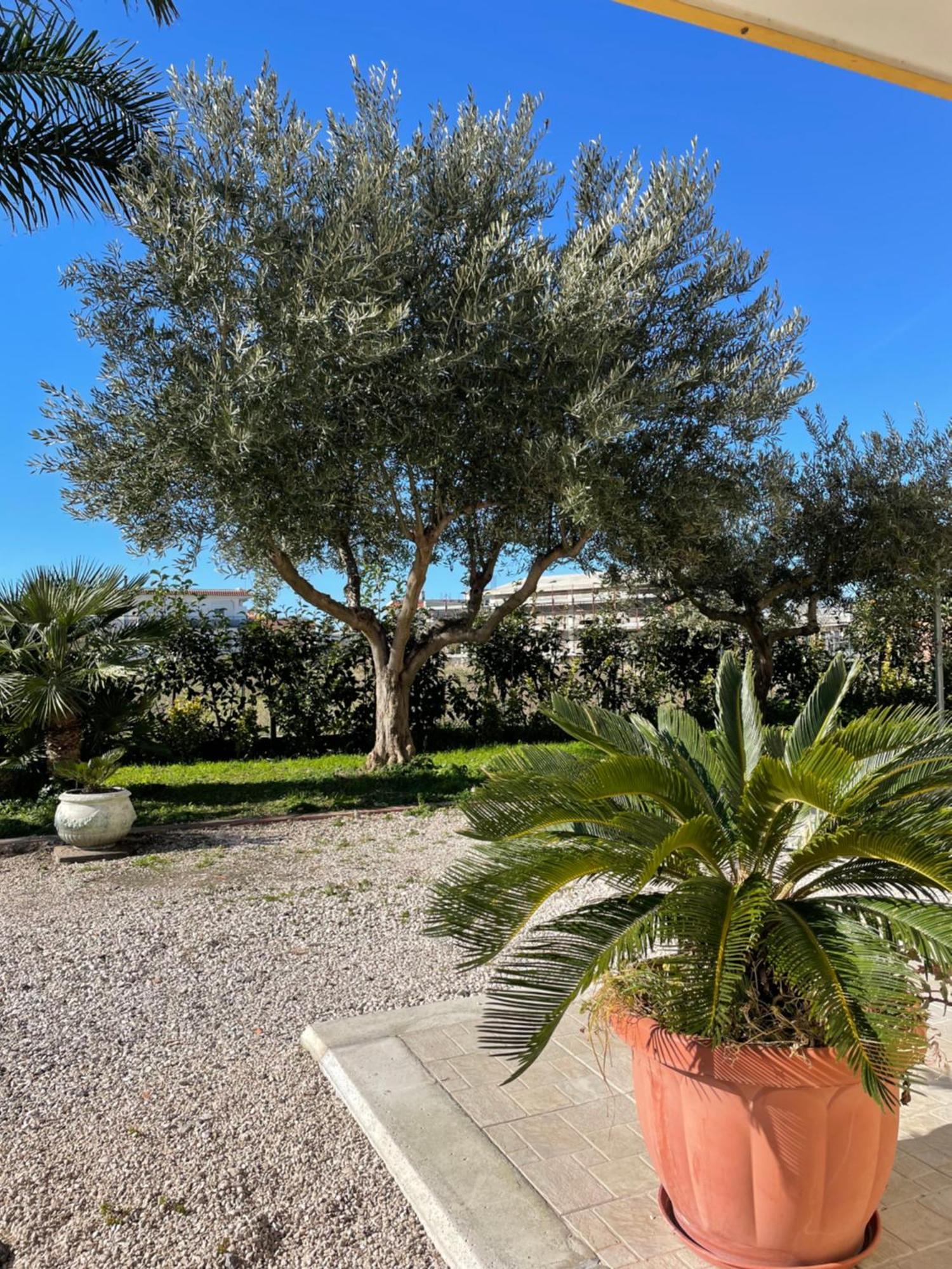 Casa Vacanze Paradise Santa Maria La Carità Eksteriør billede