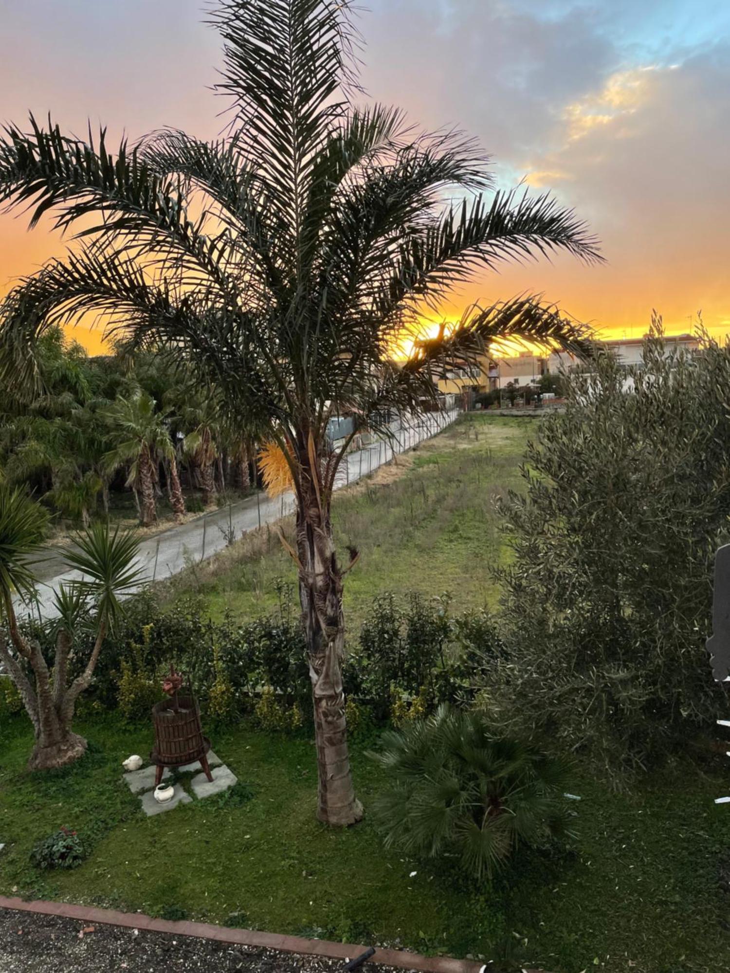 Casa Vacanze Paradise Santa Maria La Carità Eksteriør billede