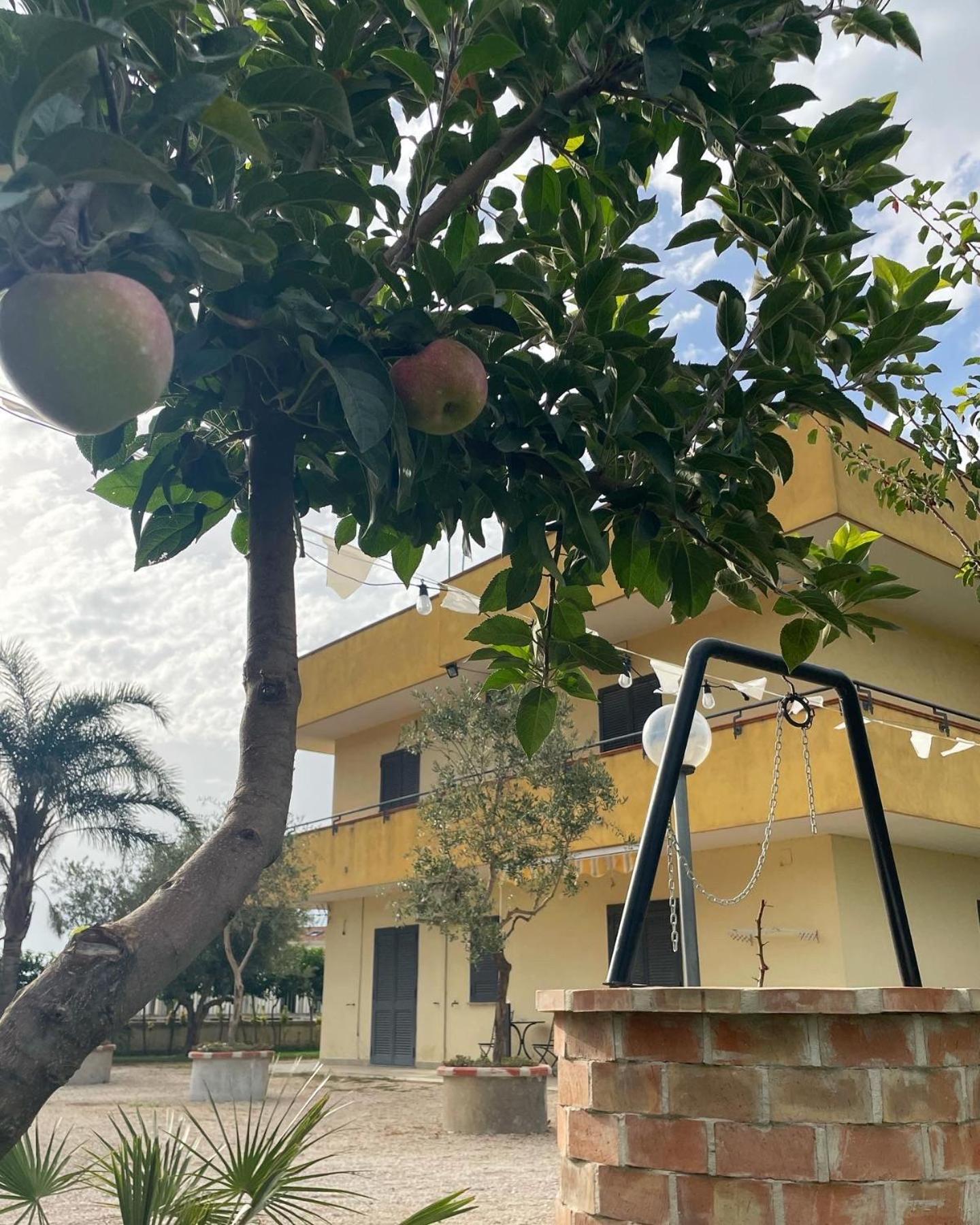 Casa Vacanze Paradise Santa Maria La Carità Eksteriør billede